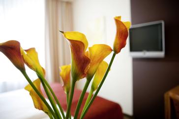 Boutique Hotel Das Tigra  | Wien | Impressionen 3