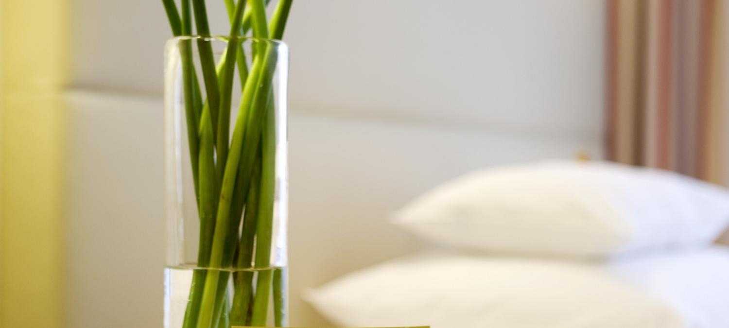 Boutique Hotel Das Tigra | Vienna | 2